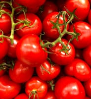 Taze domates